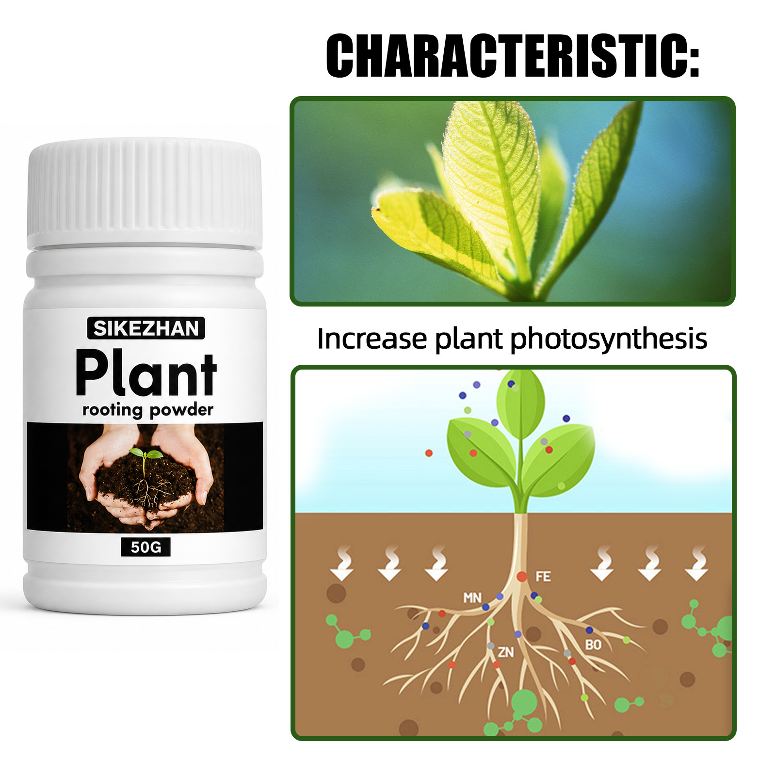 50g Rapid Rooting Powder Plant - Rooting Hormone Powder reseña y precio