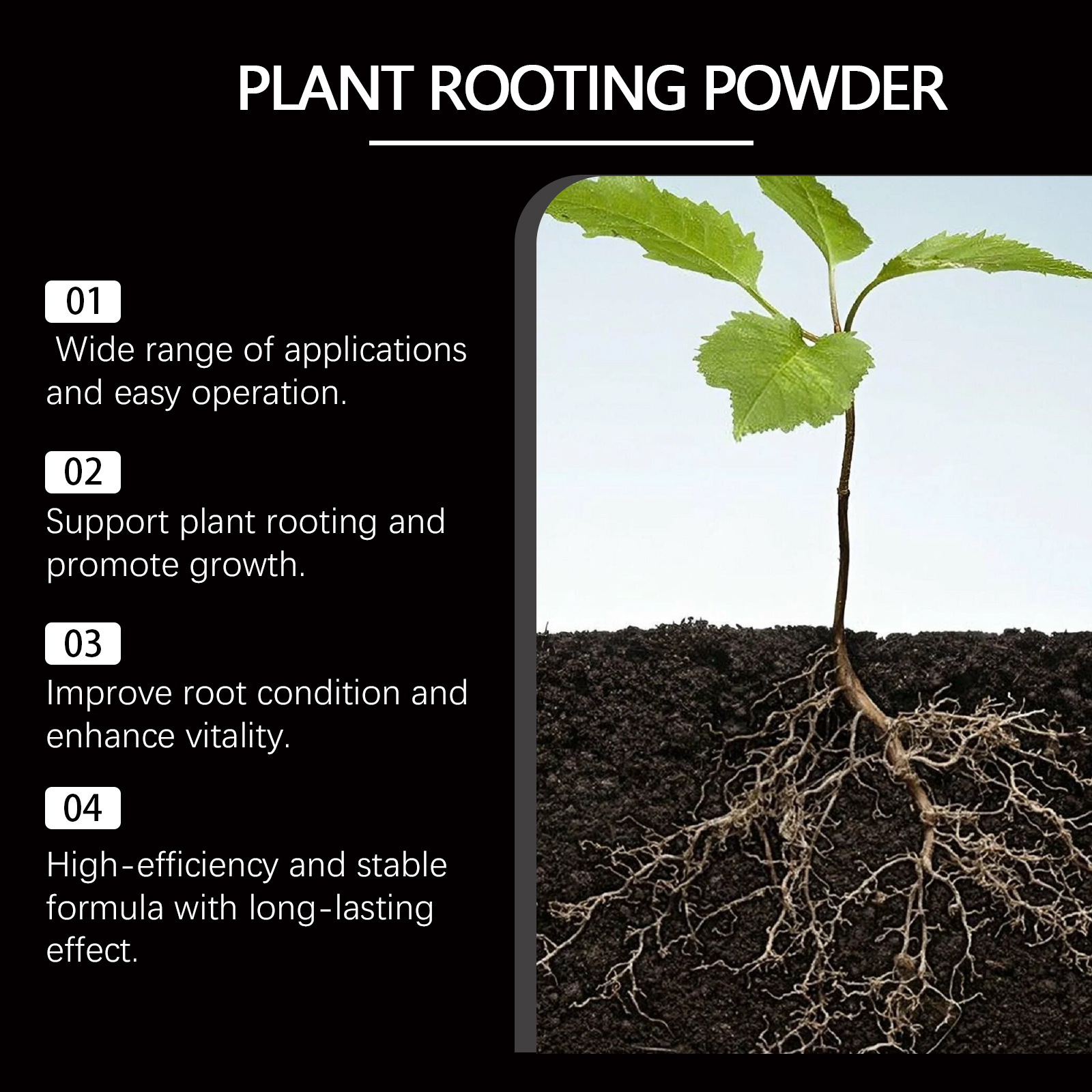 50g Rapid Rooting Powder Plant - Rooting Hormone Powder reseña y precio