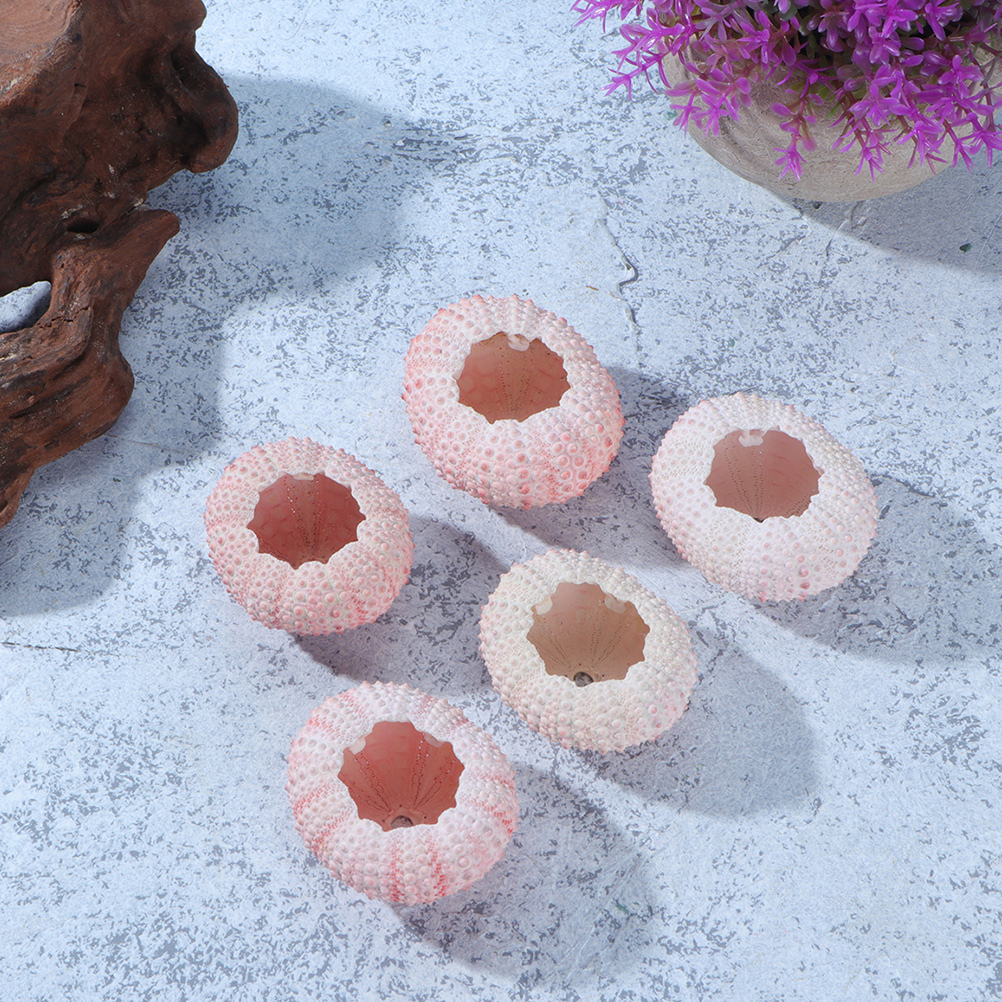 10Pcs DIY Jewelry Making Sea S - Propagation Station Vase reseña y precio