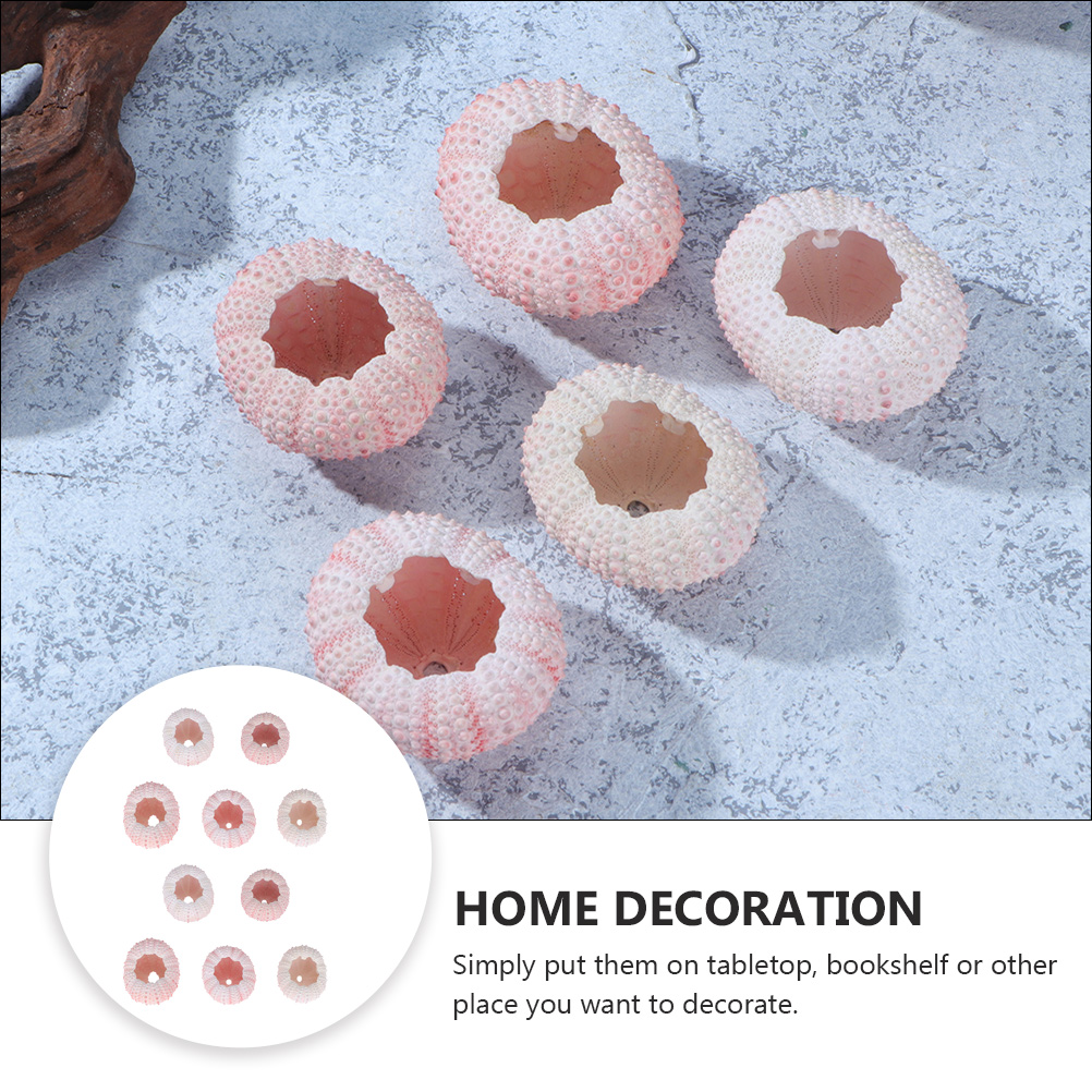 10Pcs DIY Jewelry Making Sea S - Propagation Station Vase reseña y precio