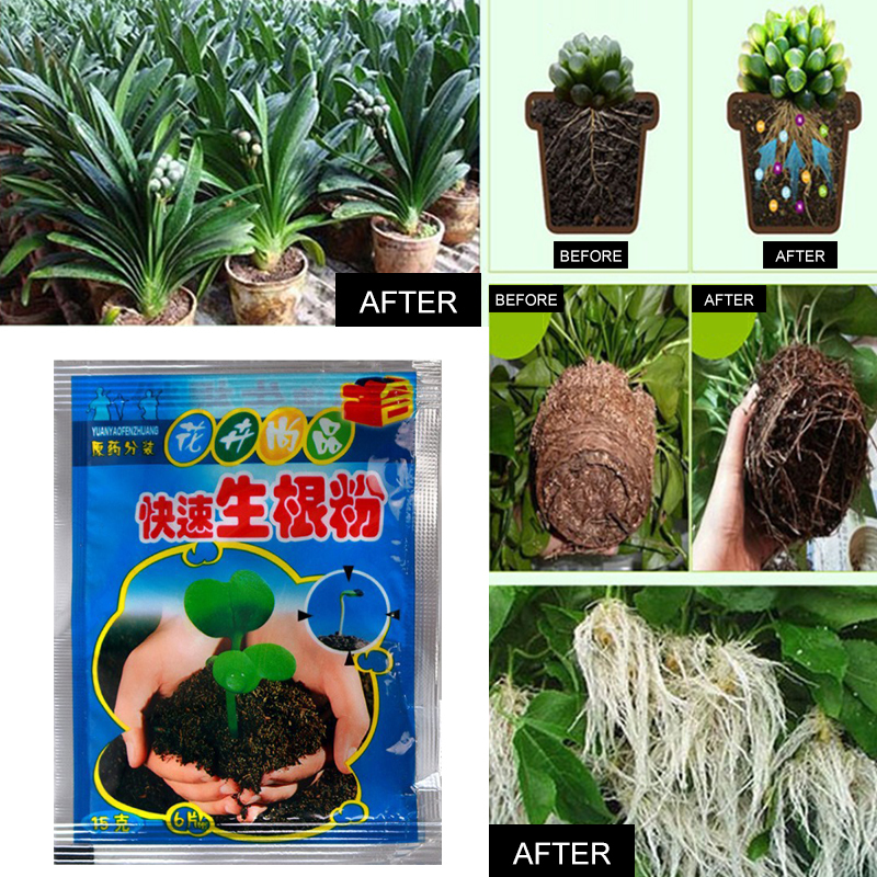 5pcs Fast Rooting Powder Plant - Rooting Hormone Powder reseña y precio