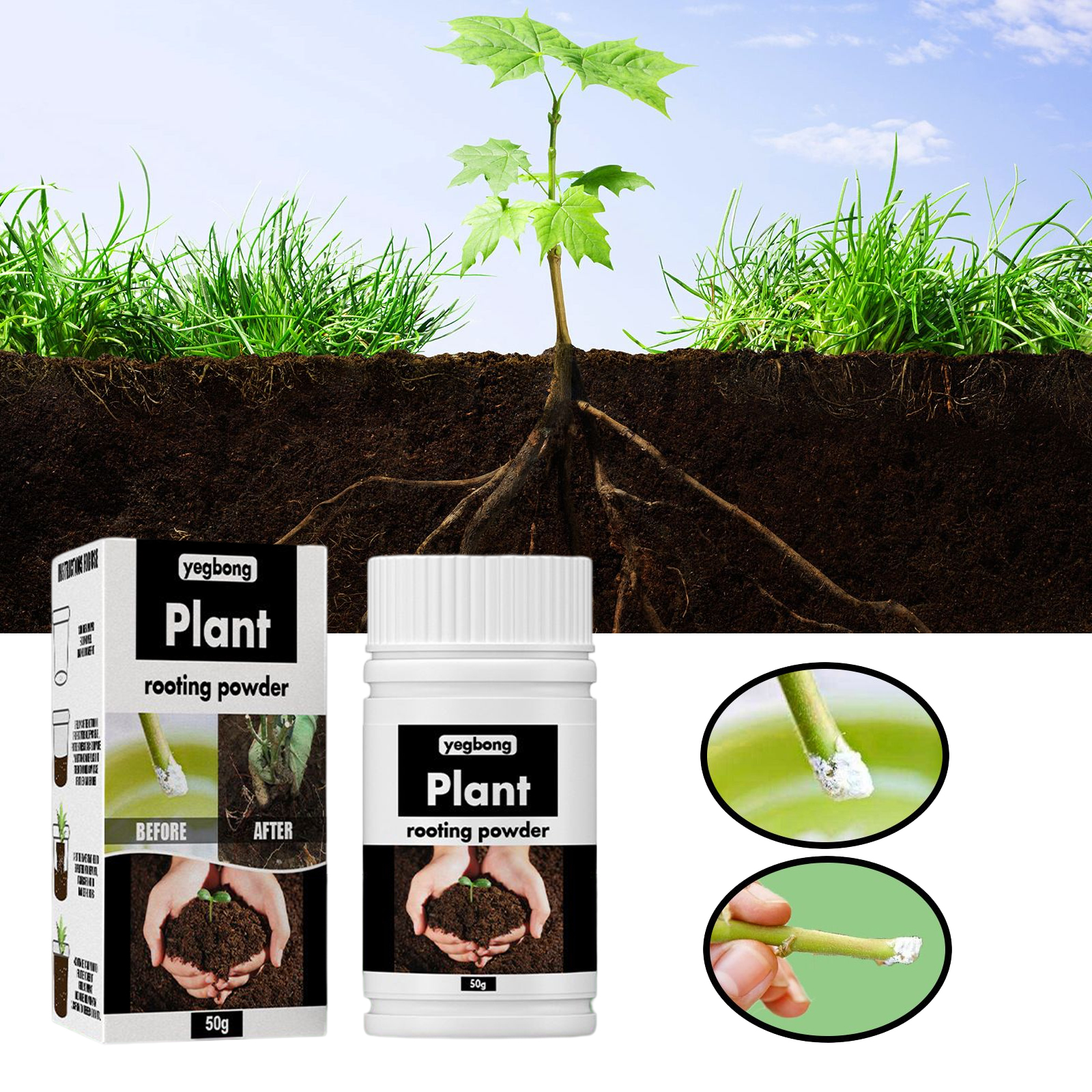 1Rare Plant Rooting Powder Pla - Rooting Hormone Powder reseña y precio