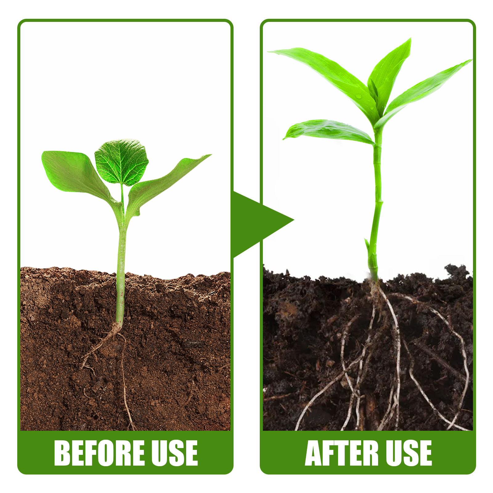 1Rare Plant Rooting Powder Pla - Rooting Hormone Powder reseña y precio