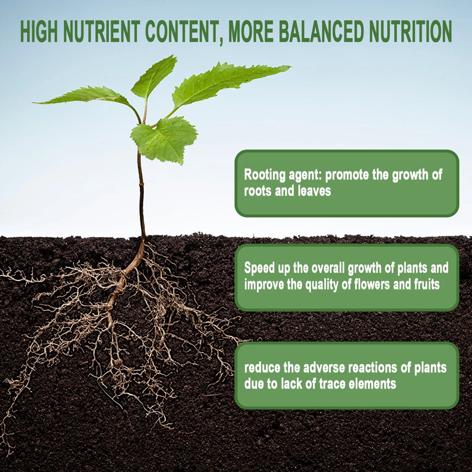 1Rare Plant Rooting Powder Pla - Rooting Hormone Powder reseña y precio