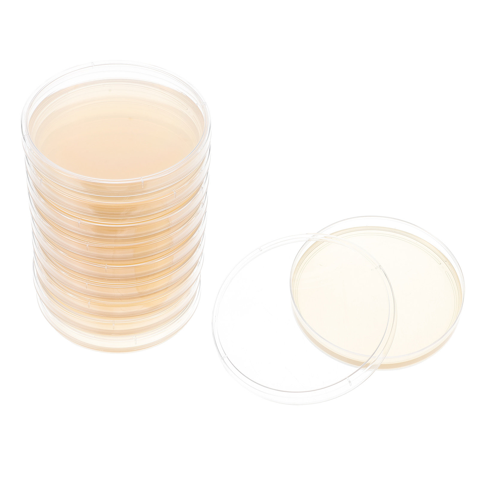 10pcs Nutrient Agar Plates Pre - Agar Tissue Culture reseña y precio
