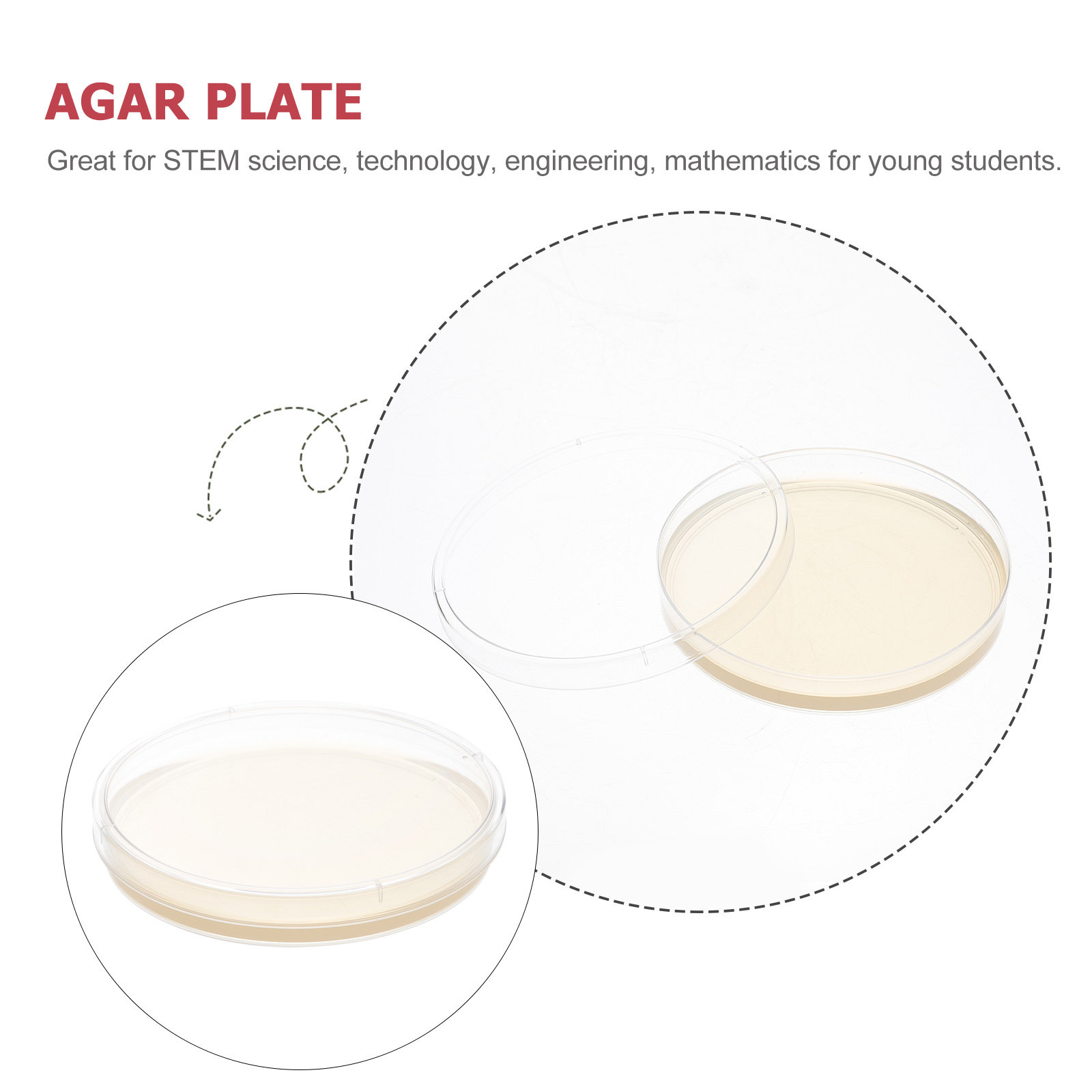 10pcs Nutrient Agar Plates Pre - Agar Tissue Culture reseña y precio