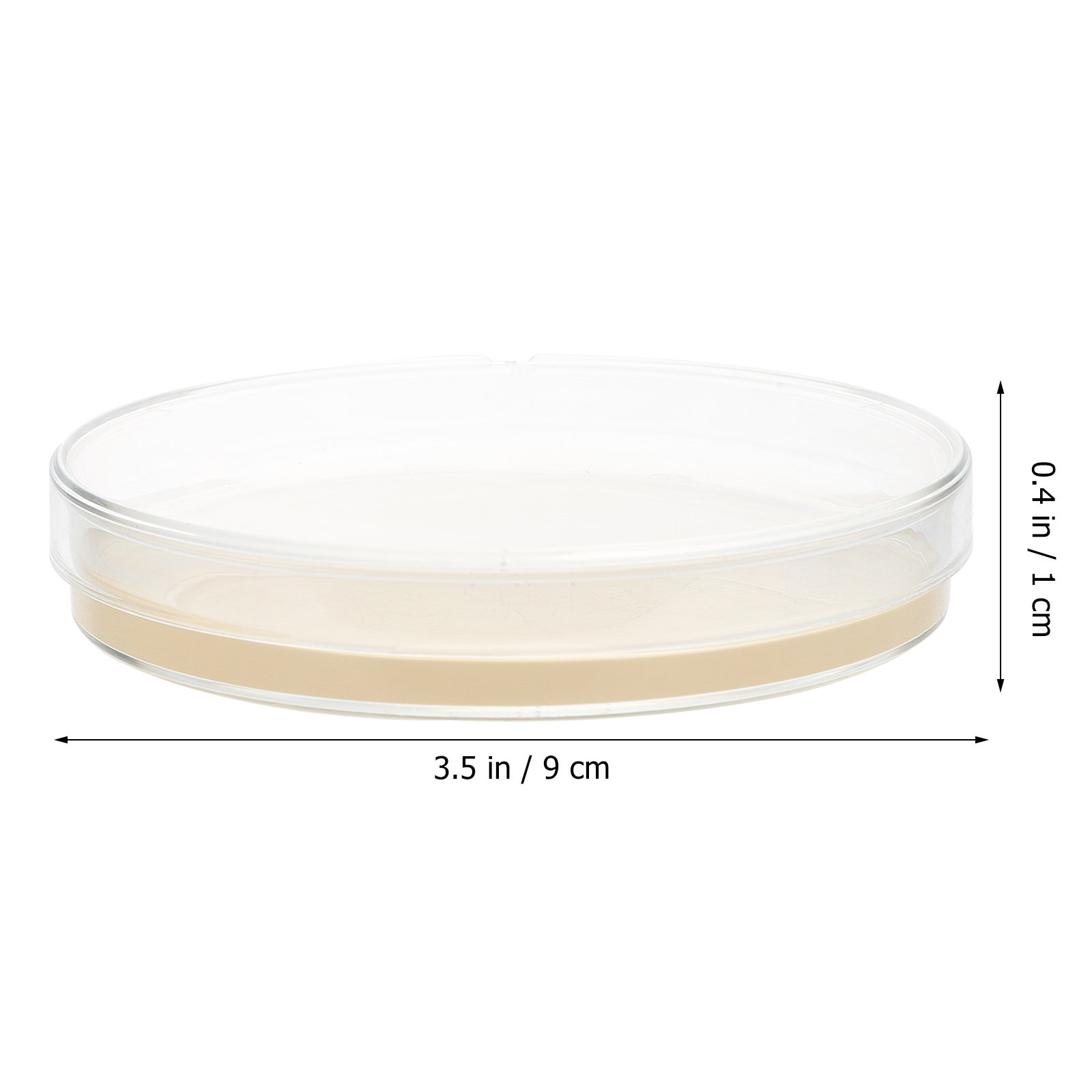 10pcs Nutrient Agar Plates Pre - Agar Tissue Culture reseña y precio