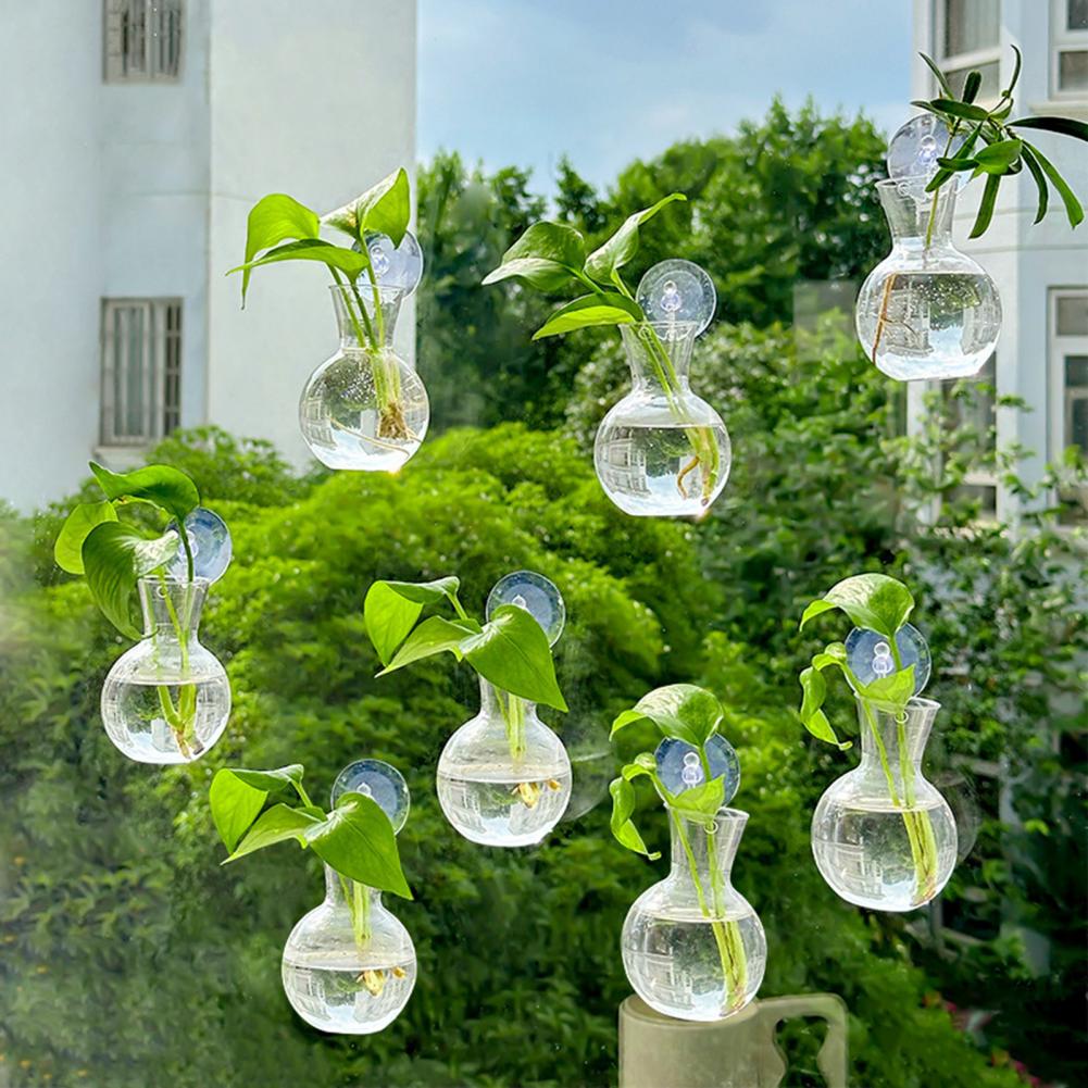 Window Planter Vase Window Pla - Propagation Station Vase reseña y precio