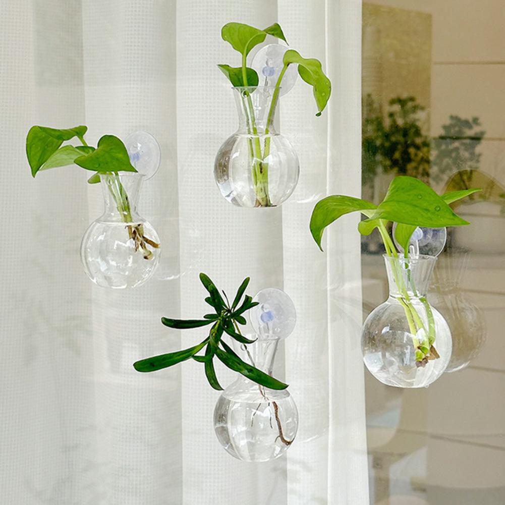 Window Planter Vase Window Pla - Propagation Station Vase reseña y precio