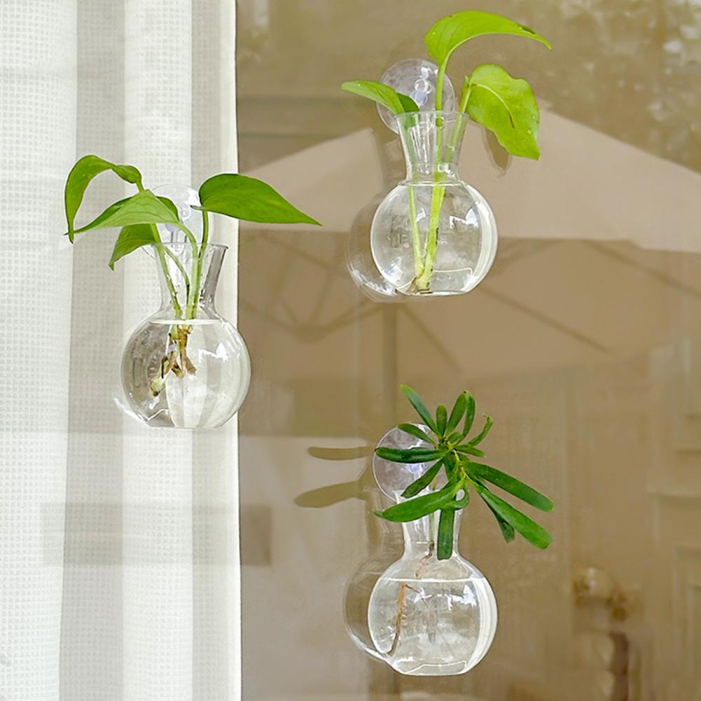 Window Planter Vase Window Pla - Propagation Station Vase reseña y precio