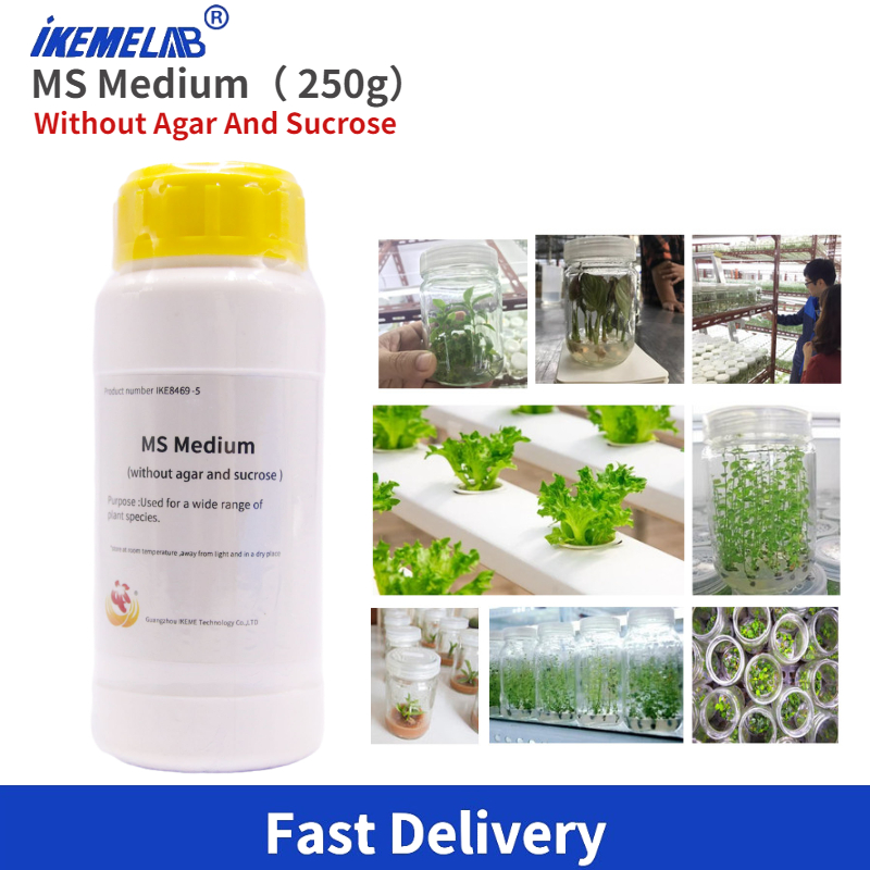 IKEME Lab MS Medium 250g Witho - Agar Tissue Culture reseña y precio
