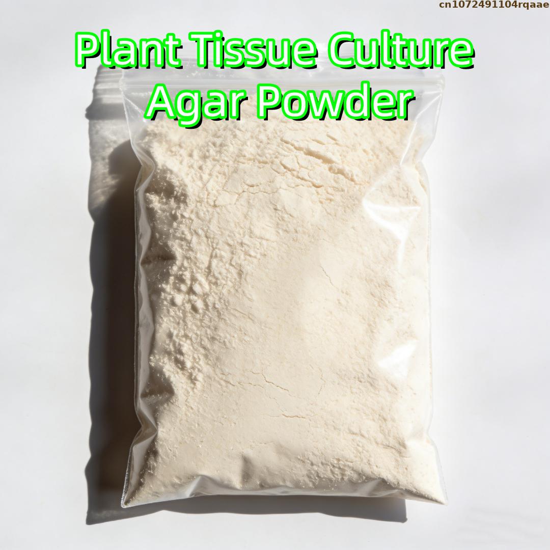 Premium Plant Tissue Culture A - Agar Tissue Culture reseña y precio