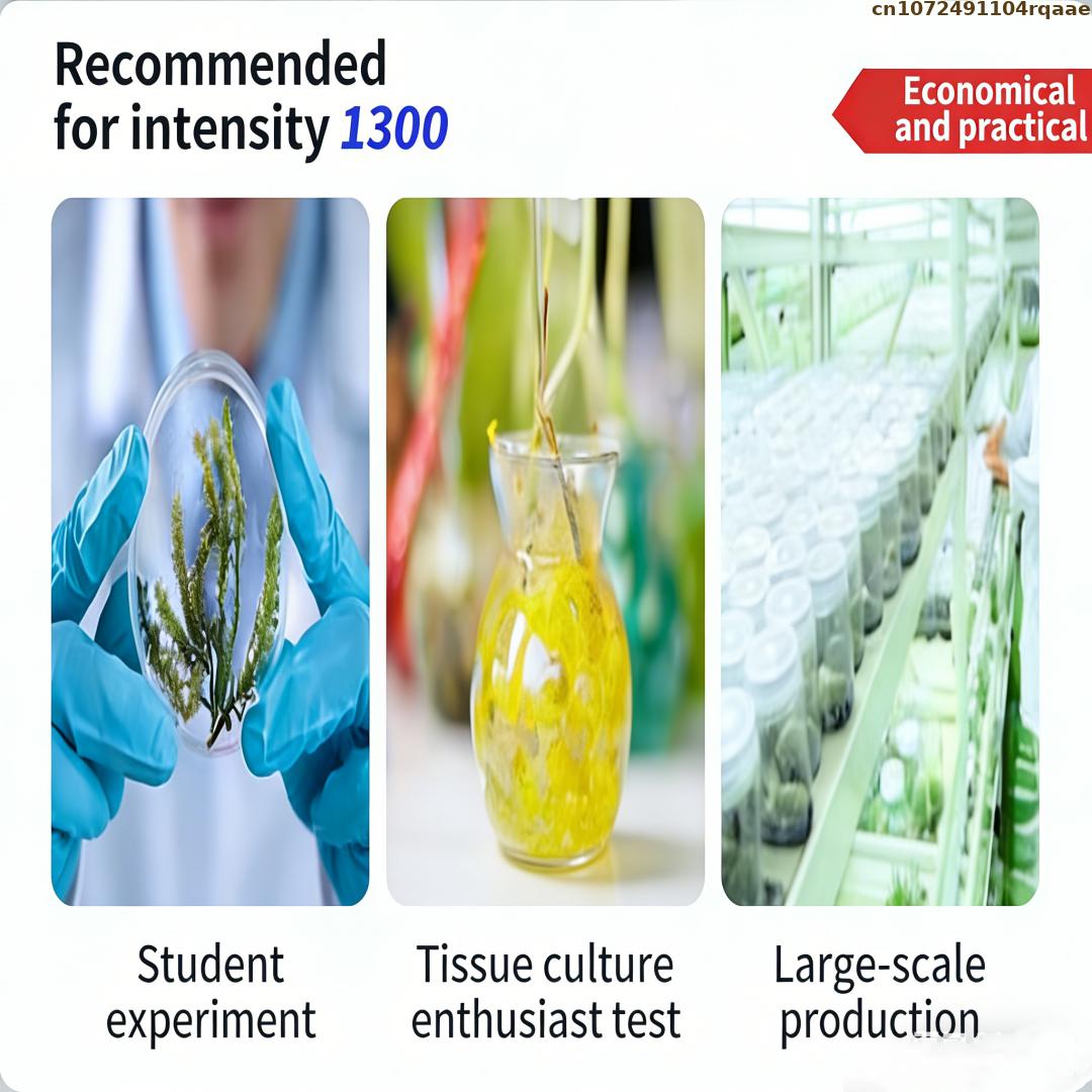 Premium Plant Tissue Culture A - Agar Tissue Culture reseña y precio