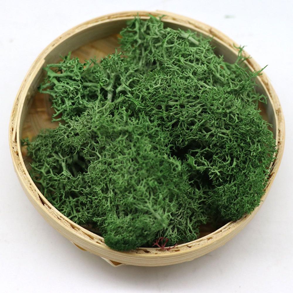 Wedding Accessories Wedding Fl - Sphagnum Moss Dry reseña y precio
