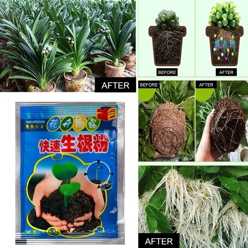 5pcs Fast Rooting Powder Plant - Rooting Hormone Powder reseña y precio
