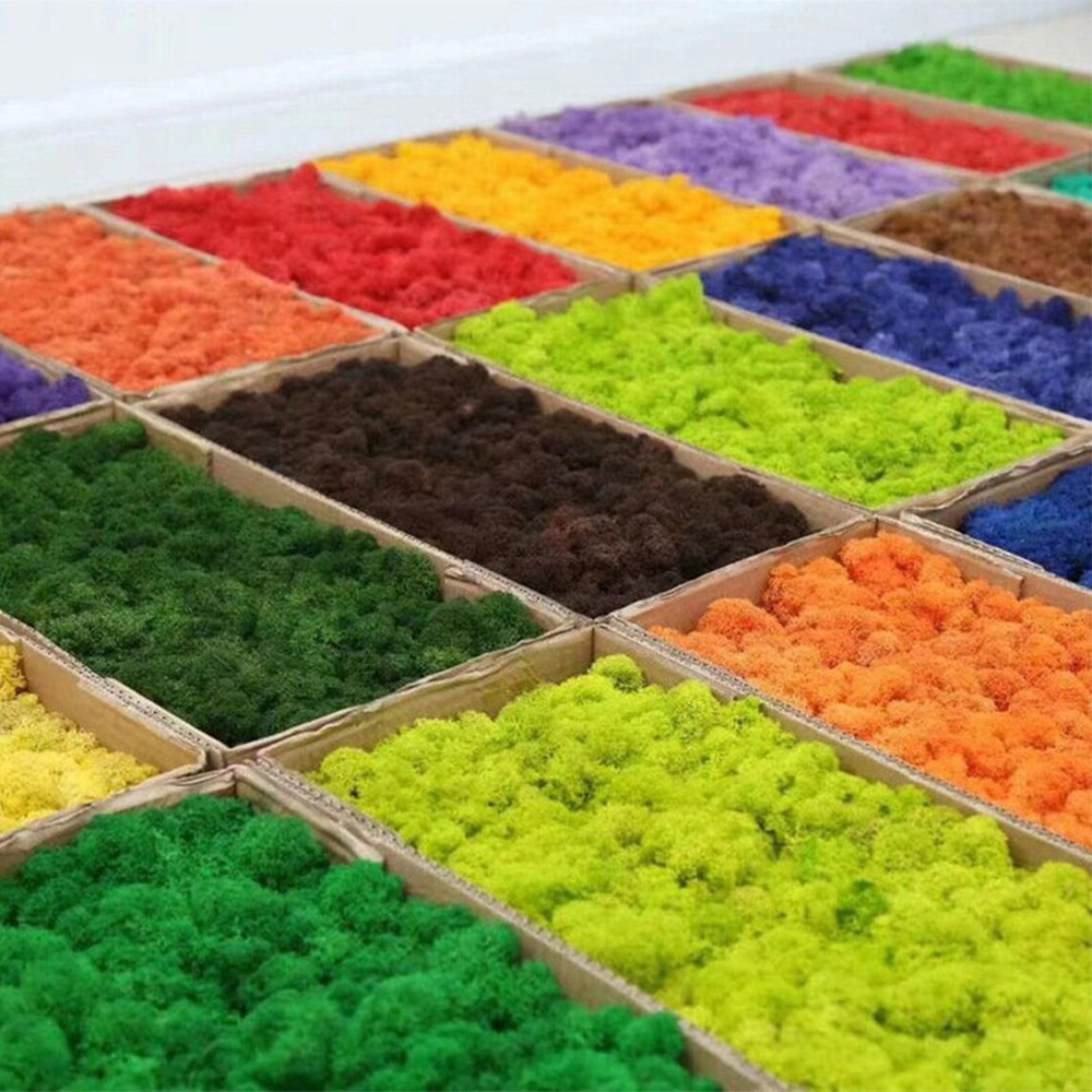 Artificial Green Plants Mini L - Sphagnum Moss Dry reseña y precio