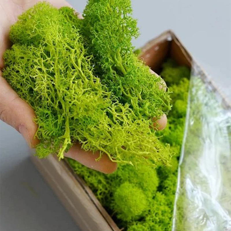 Artificial Green Plants Mini L - Sphagnum Moss Dry reseña y precio