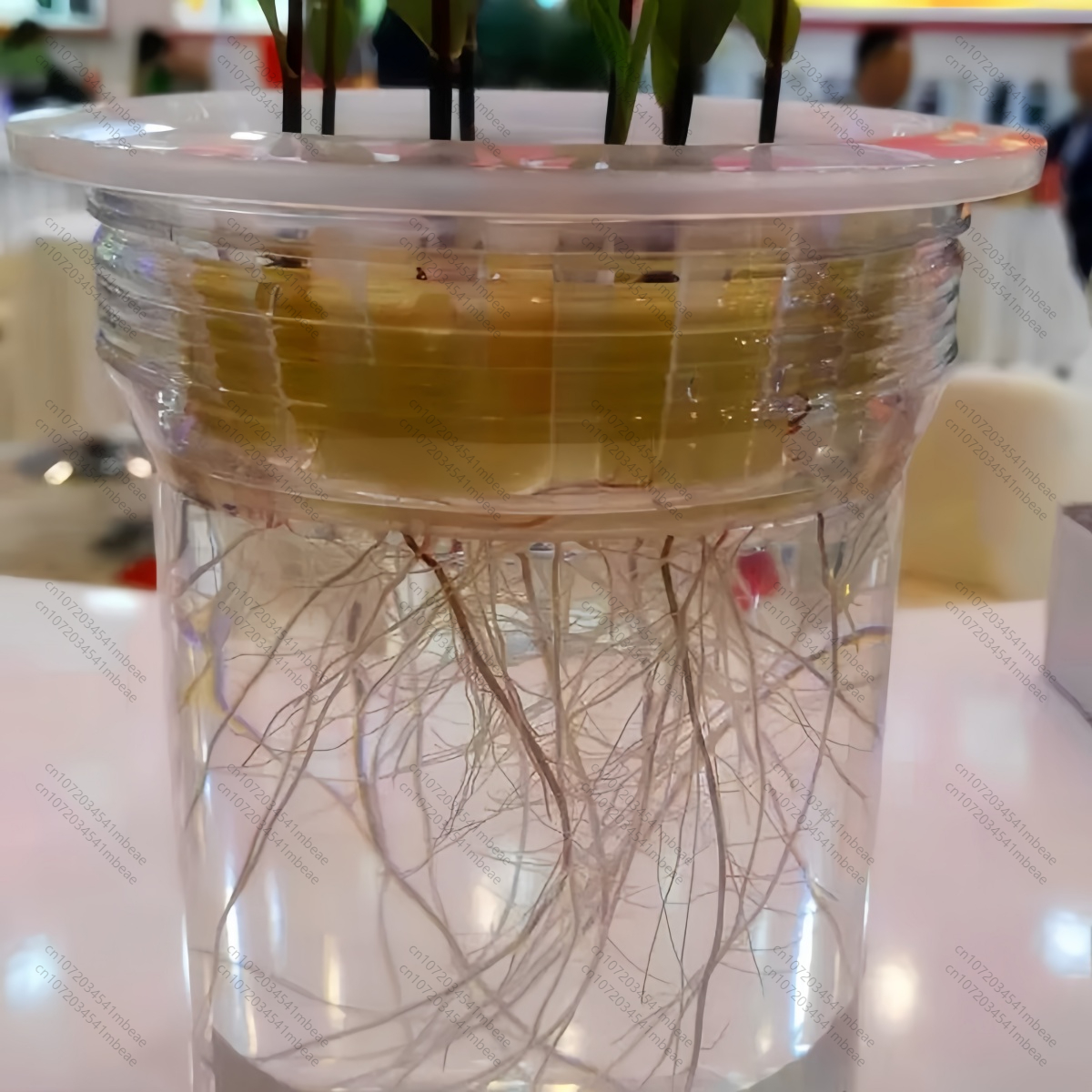NAA 98% TC 1-Naphthaleneacetic - Rooting Hormone Powder reseña y precio