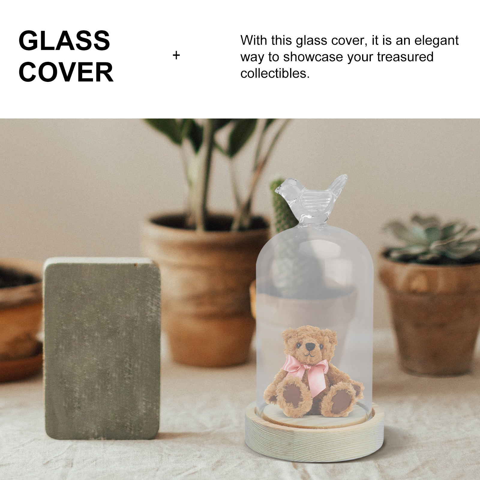 1Pcs Mini Glass Dome Cover Bir - Plastic Dome Clear reseña y precio