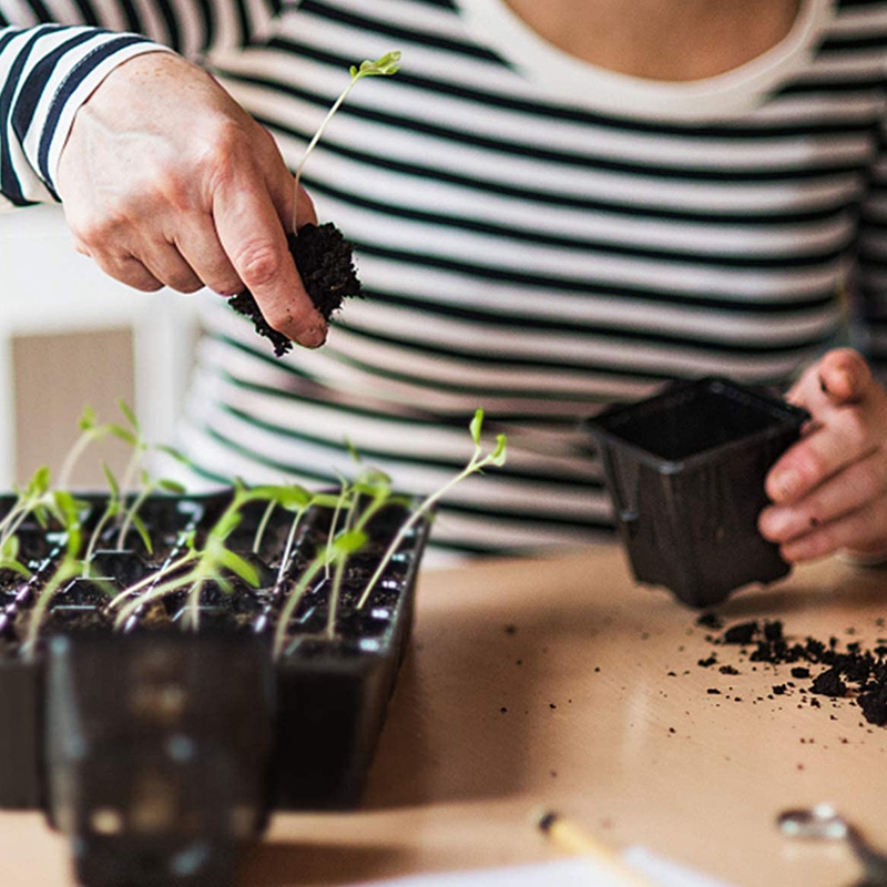 Starter10 Pack Seed Tray, 72 C - Propagation Tray 72 reseña y precio