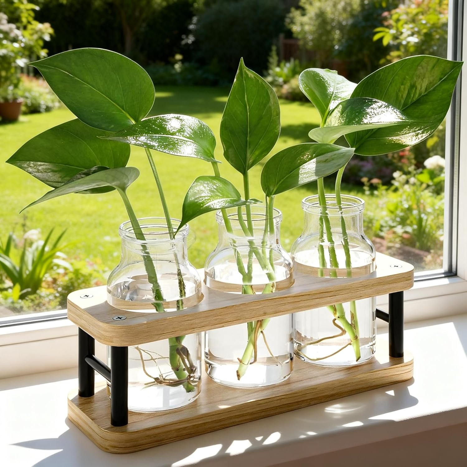 Propagation Station with Woode - Propagation Station Vase reseña y precio