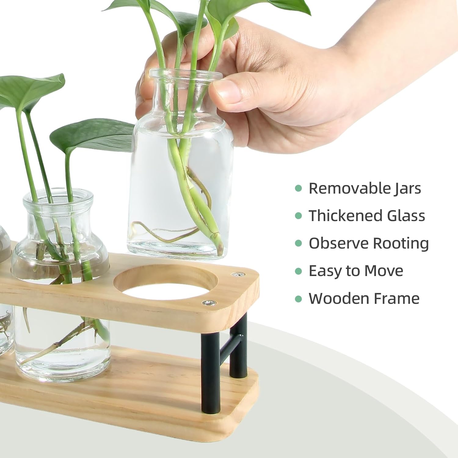 Propagation Station with Woode - Propagation Station Vase reseña y precio