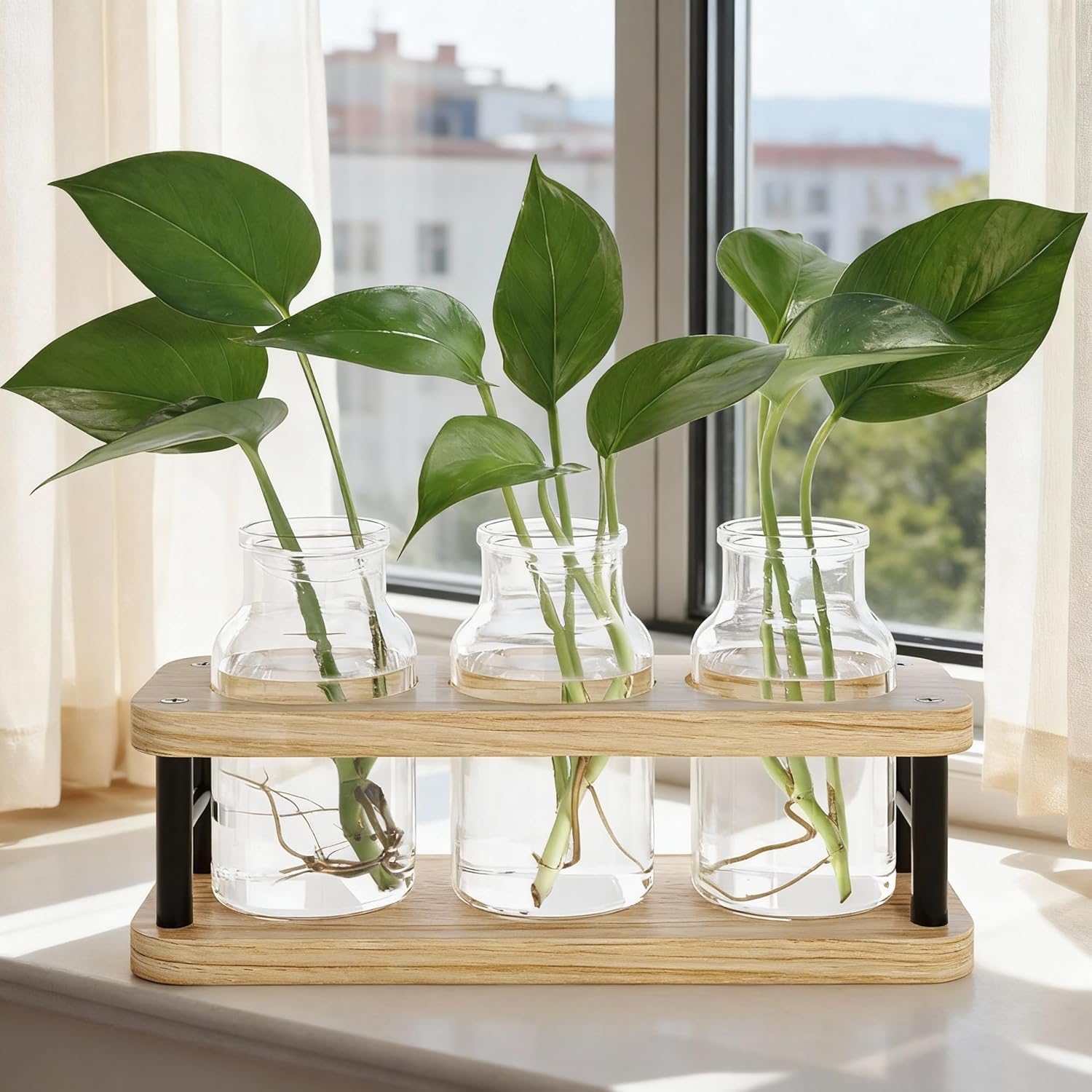 Propagation Station with Woode - Propagation Station Vase reseña y precio