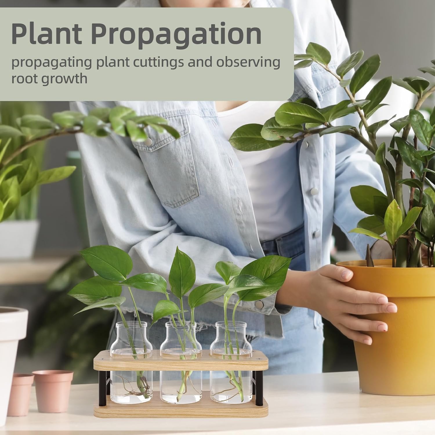 Propagation Station with Woode - Propagation Station Vase reseña y precio