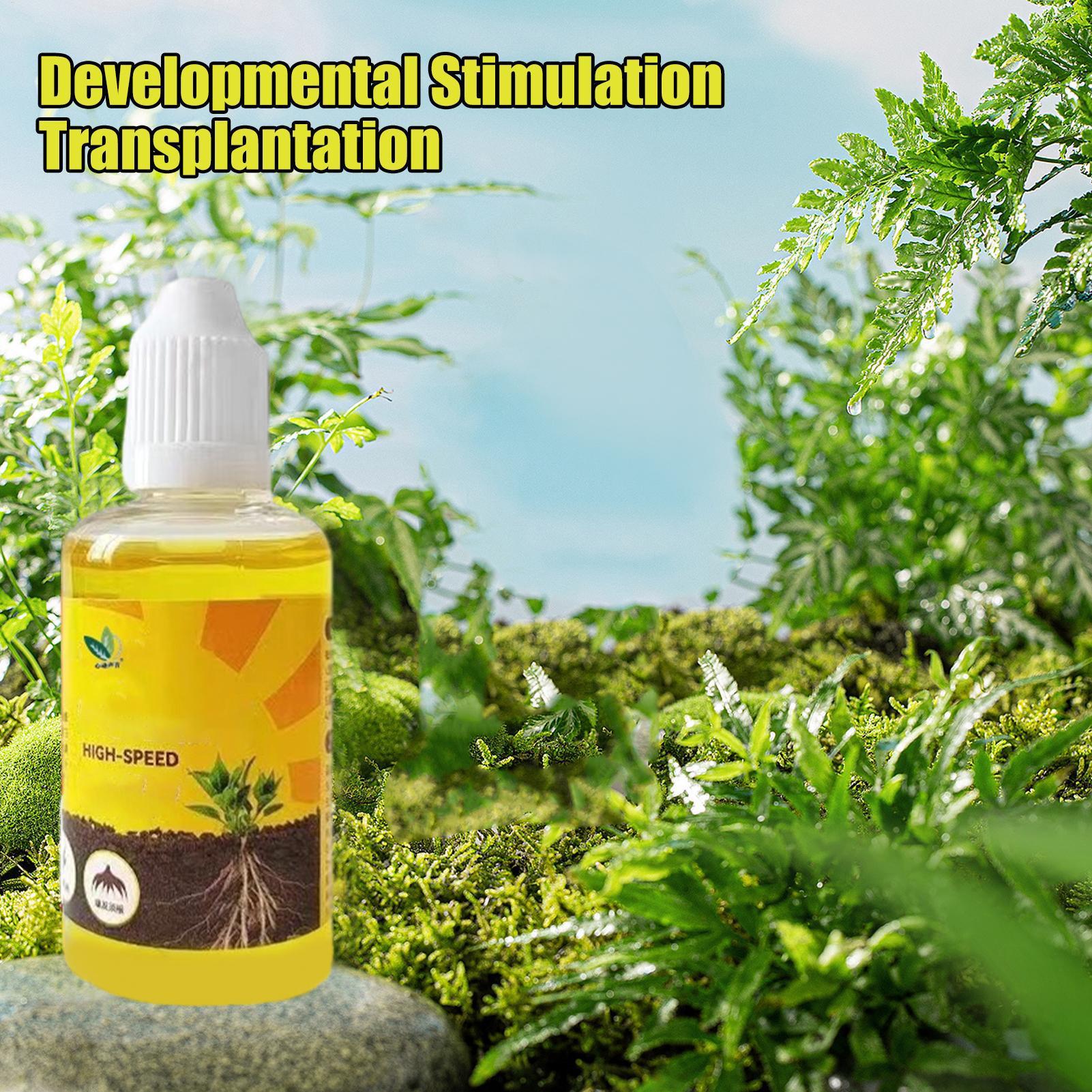 50ml Plant Rooting Stimulator  - Root Stimulator Liquid reseña y precio