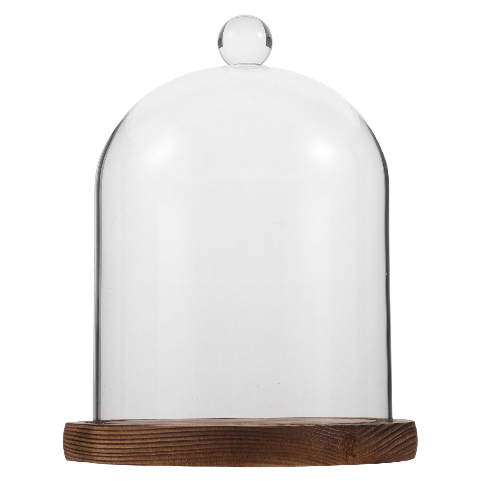 Clear Glass Bell Jar Dome for  - Plastic Dome Clear reseña y precio