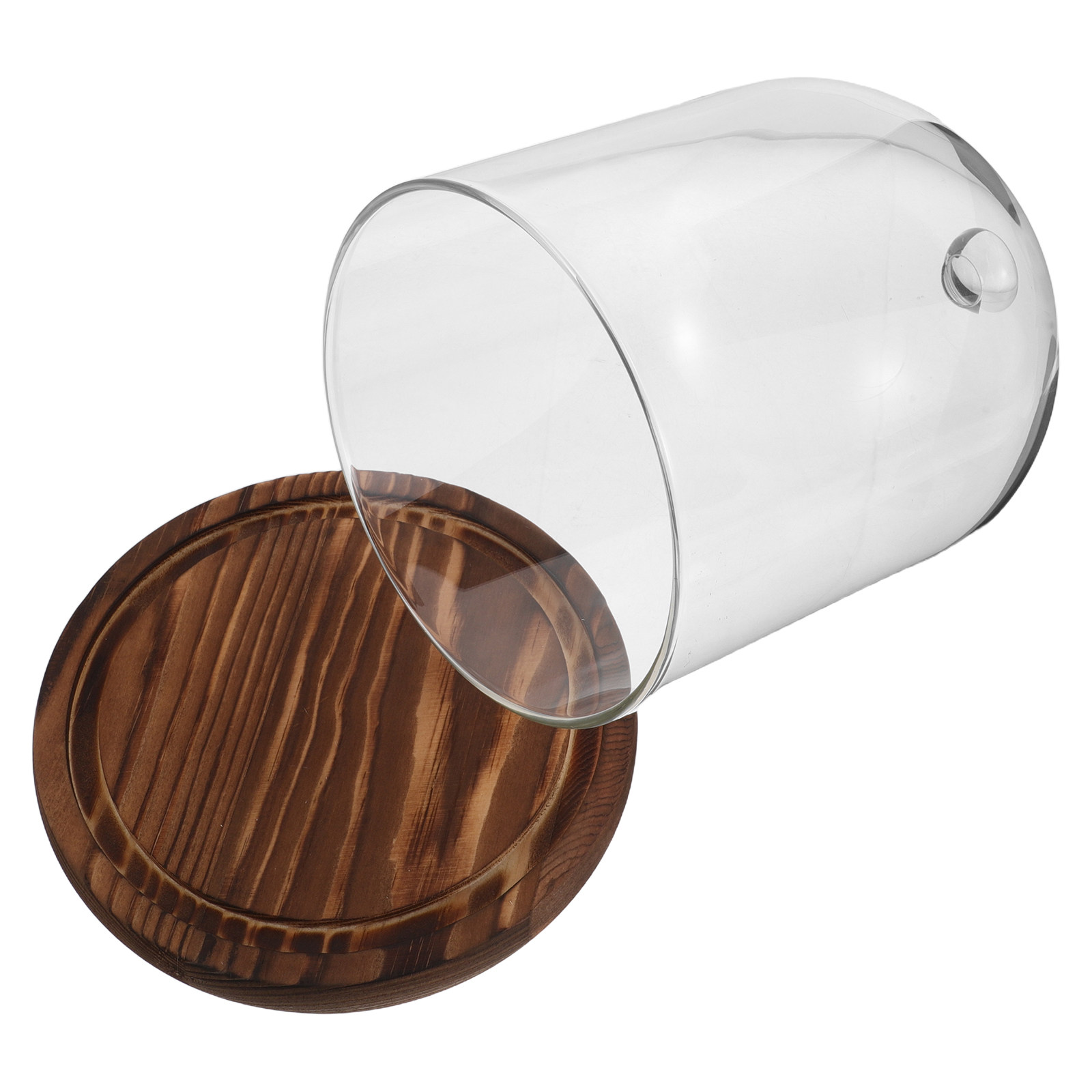 Clear Glass Bell Jar Dome for  - Plastic Dome Clear reseña y precio