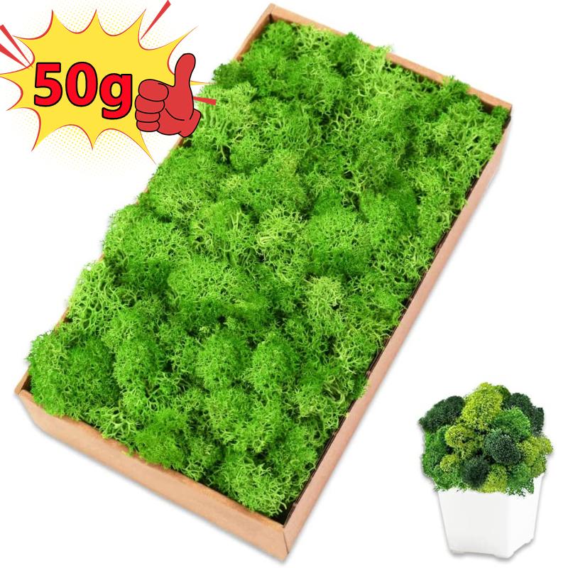New 50/30/10g Artificial Green - Sphagnum Moss Dry reseña y precio
