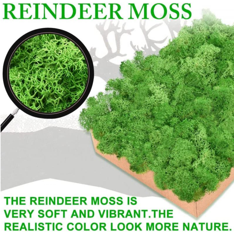 New 50/30/10g Artificial Green - Sphagnum Moss Dry reseña y precio