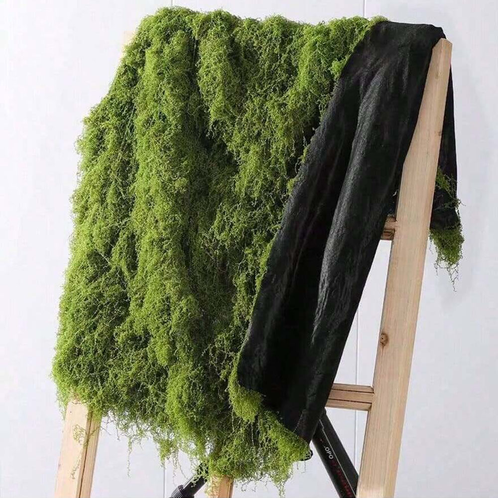1*1m Fake Moss DIY Crafts Gras - Sphagnum Moss Dry reseña y precio