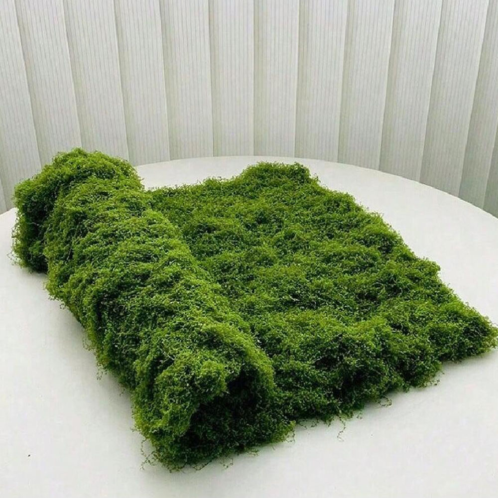 1*1m Fake Moss DIY Crafts Gras - Sphagnum Moss Dry reseña y precio