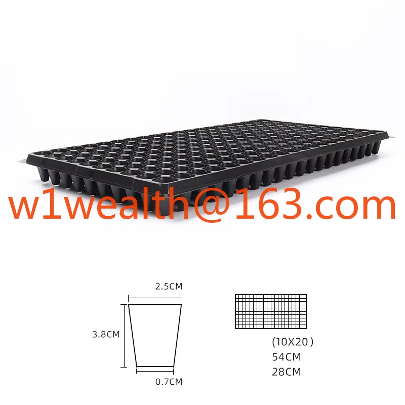 DD3198   72 Cell 100G Garden G - Propagation Tray 72 reseña y precio