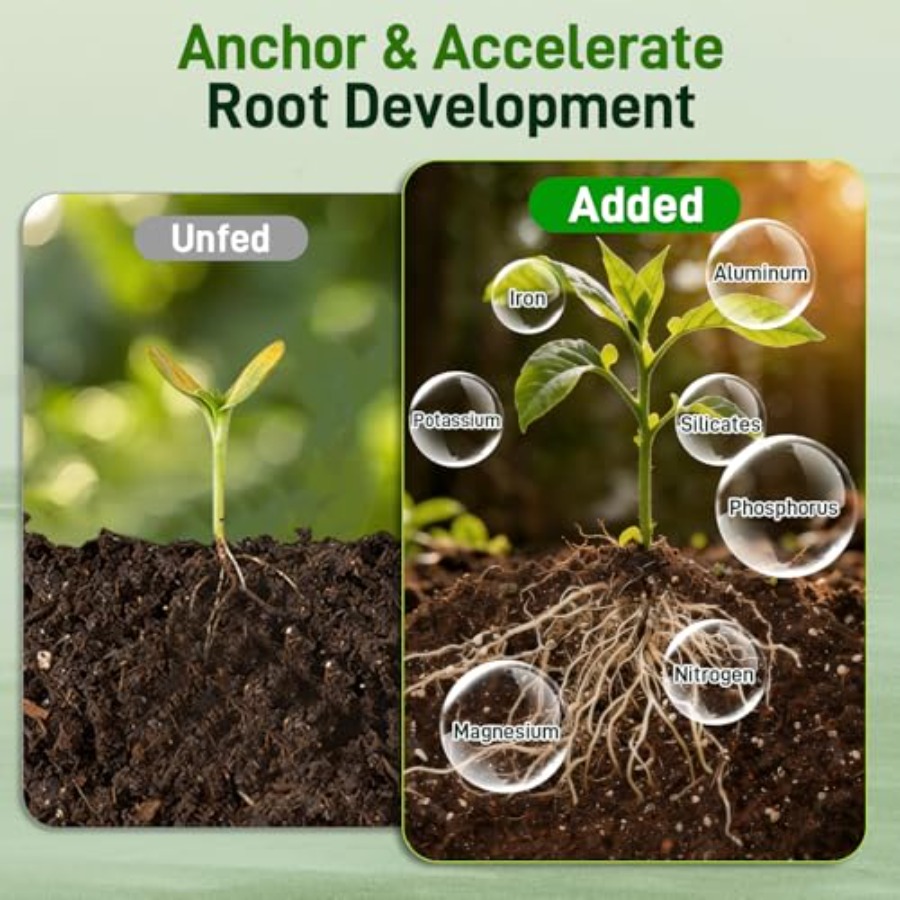 2 Mix for Indoor Plants - Cont - Coco Perlite Mix reseña y precio
