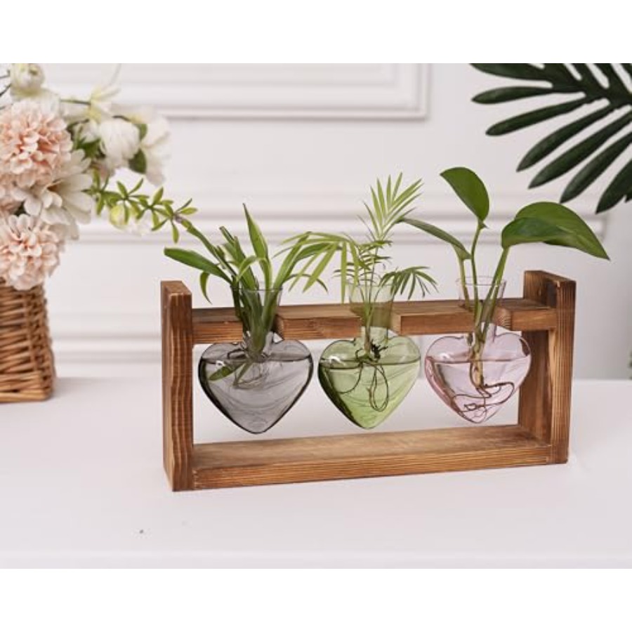3-Heart Plant Terrarium Kit -  - Propagation Station Vase reseña y precio