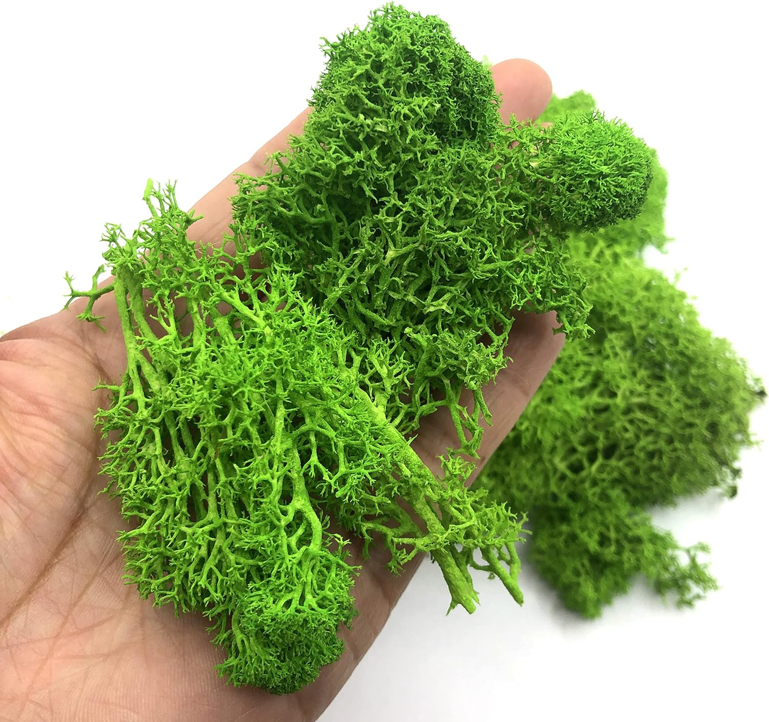 200g Artificial Green Plants M - Sphagnum Moss Dry reseña y precio