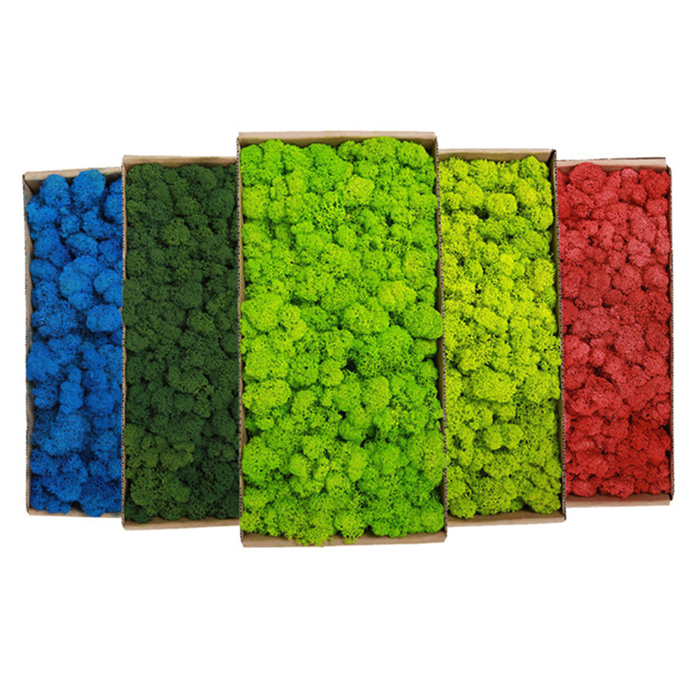 200g Artificial Green Plants M - Sphagnum Moss Dry reseña y precio
