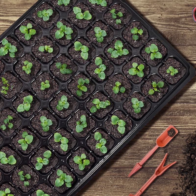 ABGH-10 Pack Seed Starter Tray - Propagation Tray 72 reseña y precio