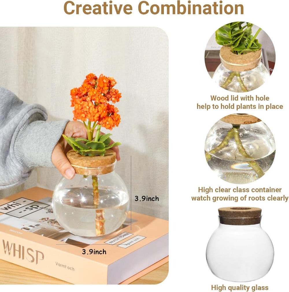 Hydroponic Plant Propagation S - Propagation Station Vase reseña y precio