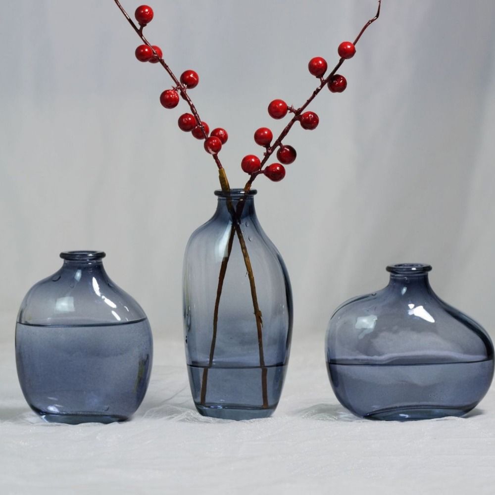 Fashion Retro Flower Vase Glas - Propagation Station Vase reseña y precio