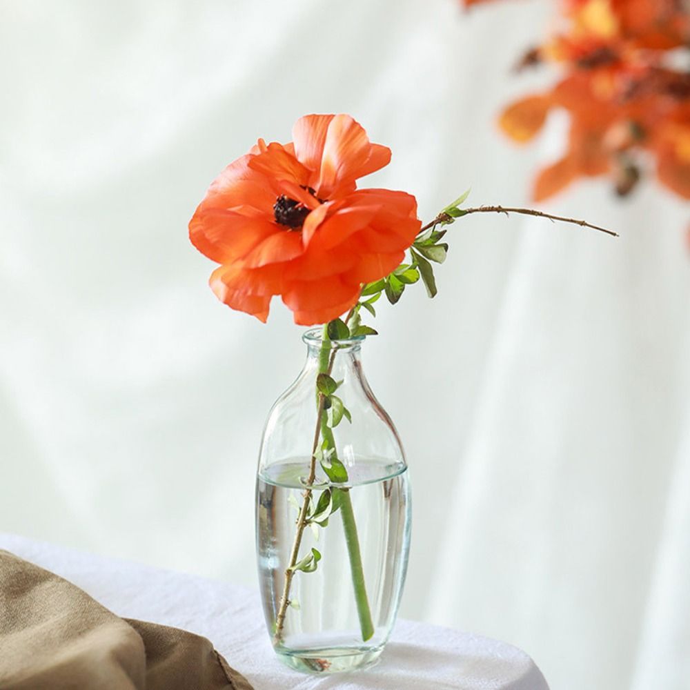 Fashion Retro Flower Vase Glas - Propagation Station Vase reseña y precio