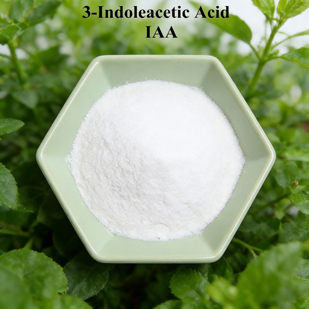 3-indoleacetic Acid IAA Auxina - Rooting Hormone Powder reseña y precio