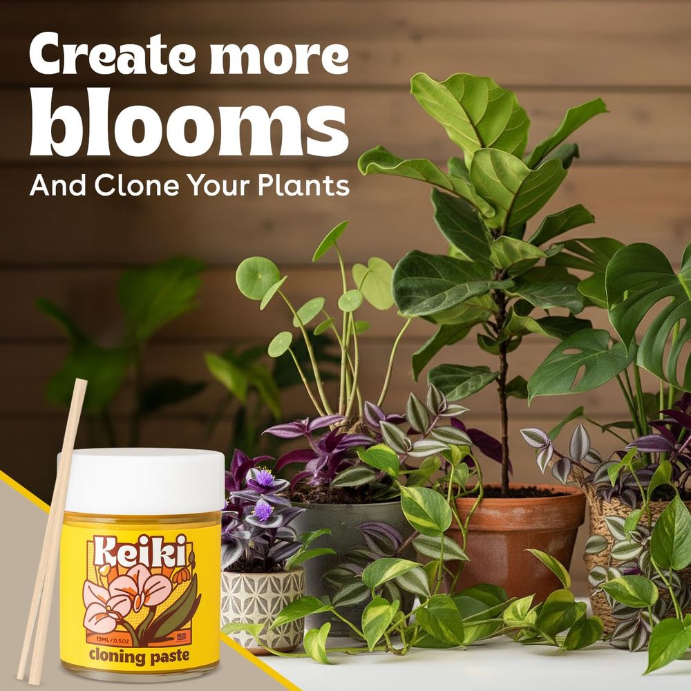 Paste or Plants to Clone & Cre - Rooting Gel Clone reseña y precio