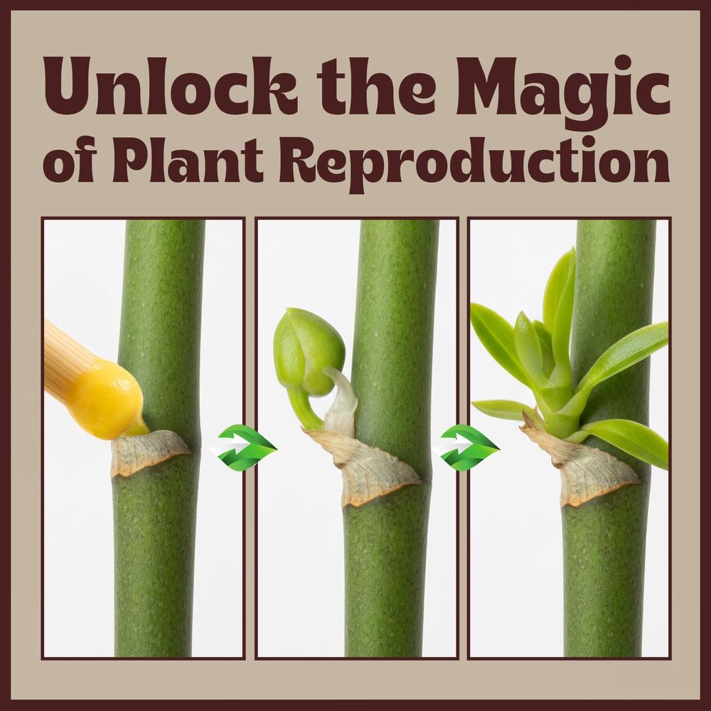 Paste or Plants to Clone & Cre - Rooting Gel Clone reseña y precio