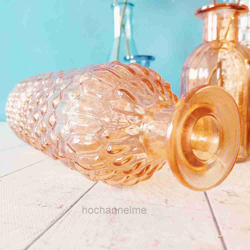 Glass Vase Living Room Decorat - Propagation Station Vase reseña y precio