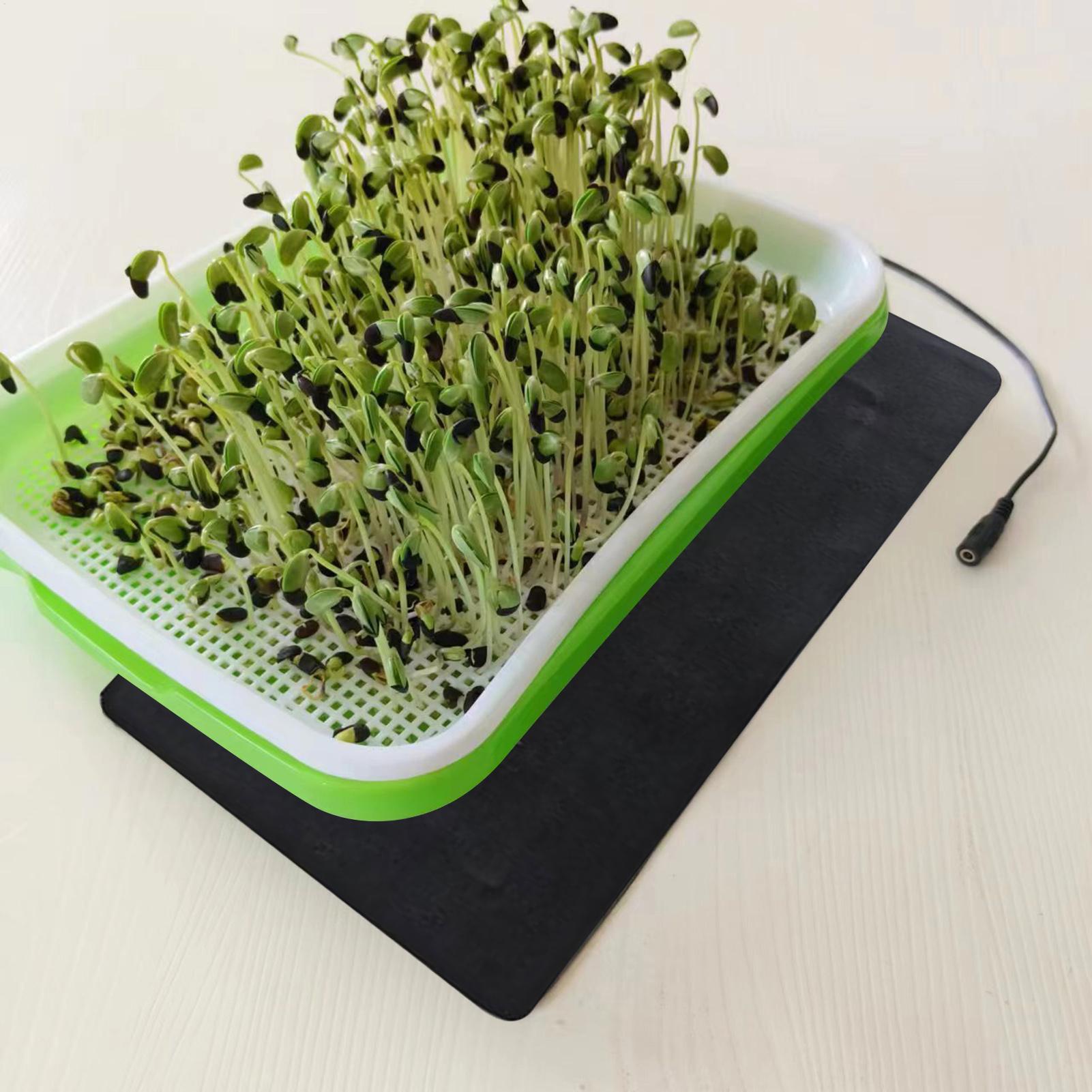 8.5W Seedling Heat Mat 5V 2A P - Heat Mat Seedling reseña y precio