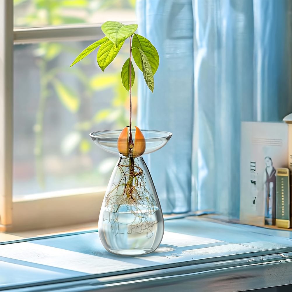 Avocado Seed Starter Vase Tran - Propagation Station Vase reseña y precio